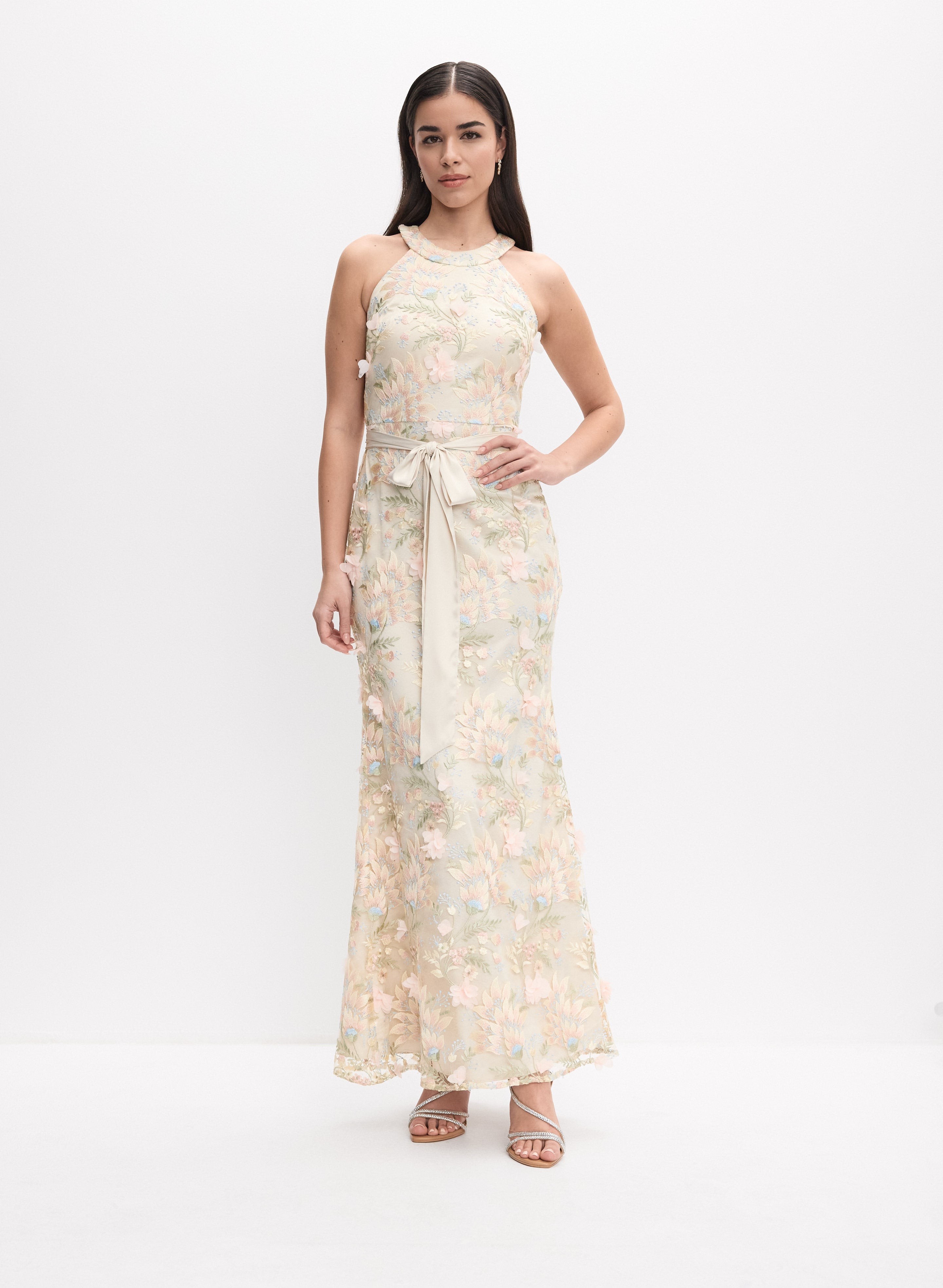 Floral Embroidered Lace Dress