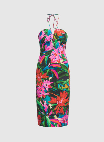 Cocktail Dresses